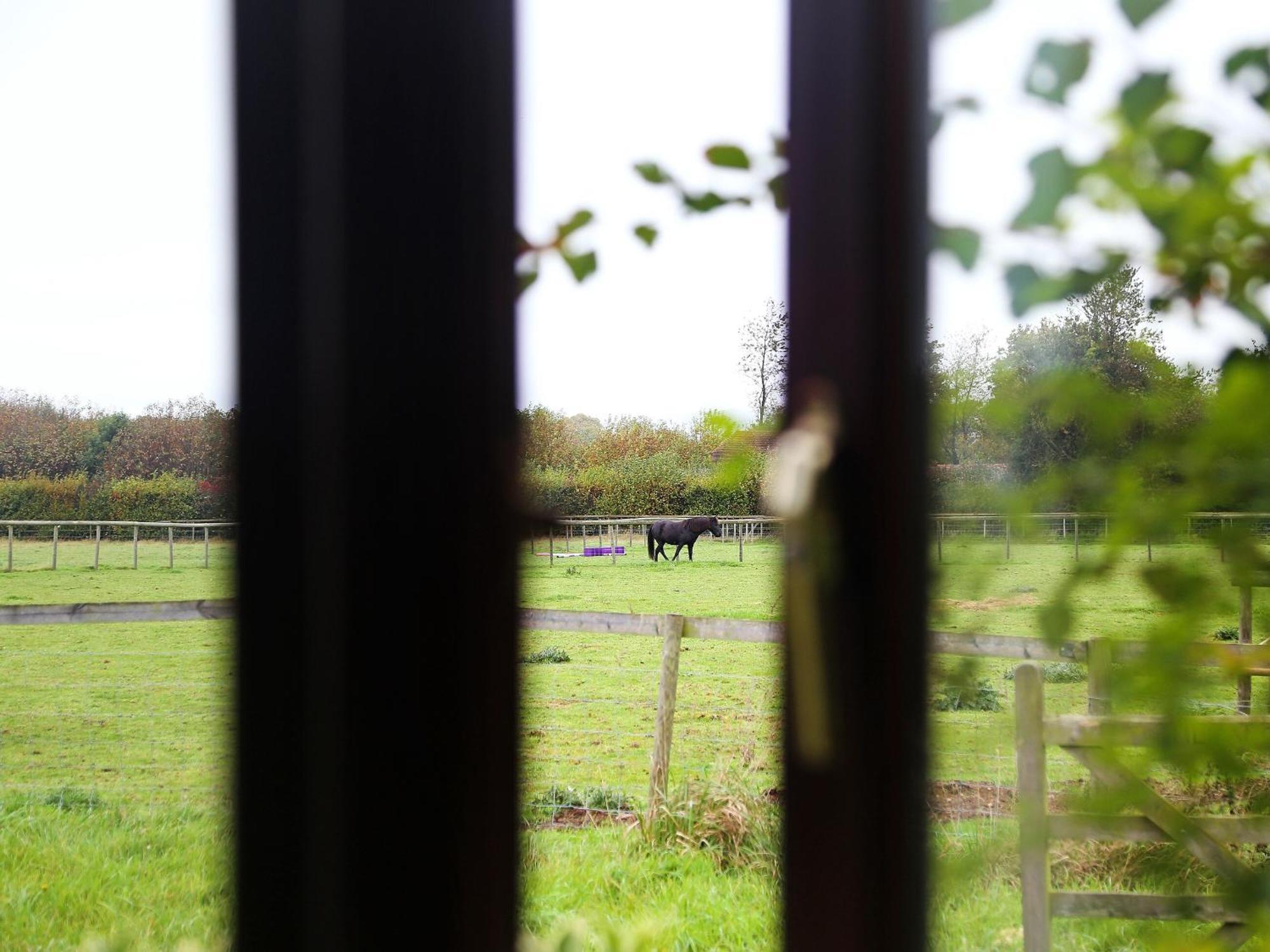 Tilmangate Barn Villa Ulcombe Eksteriør billede